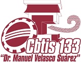 CBTis No. 133